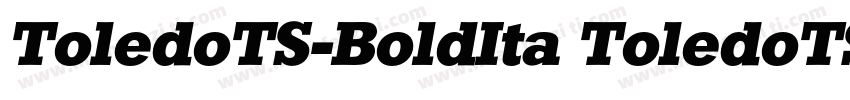 ToledoTS-BoldIta ToledoTS-BoldIta字体转换
